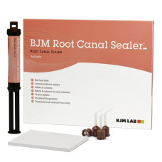 BJM ROOT CANAL SEALER силер на основі епоксидно-амінної смоли шприц 5 мл насадки