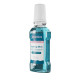 Ополіскувач для рота Nordics Soothing Mint для заспокоєння ясен