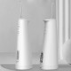 Іригатор порожнини рота ProZone WP-J20 White 2 насадки